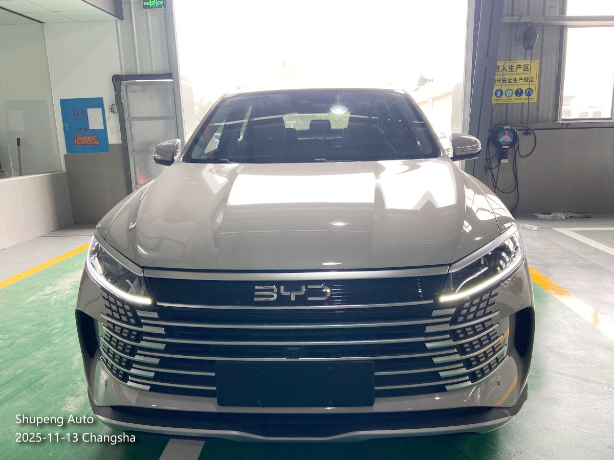 byd sea lion 05 - shupeng auto used car (4).jpg