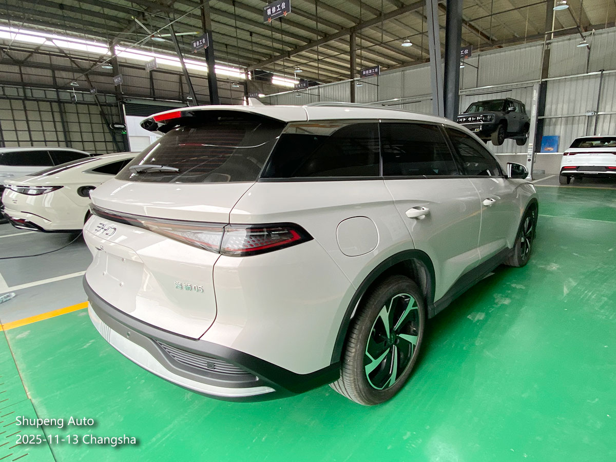 byd sea lion 05 - shupeng auto used car (5).jpg