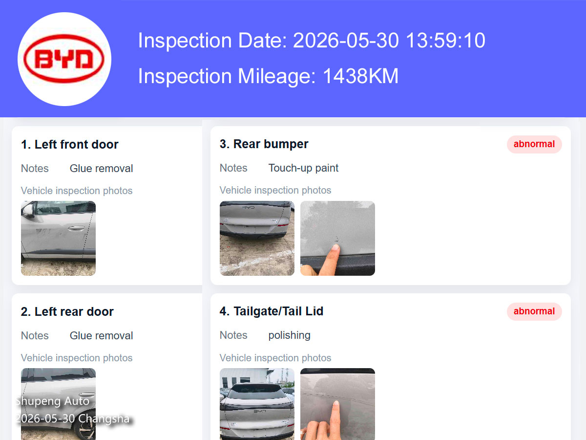 sealion 06 from shupeng auto china used car supplier (1).jpg