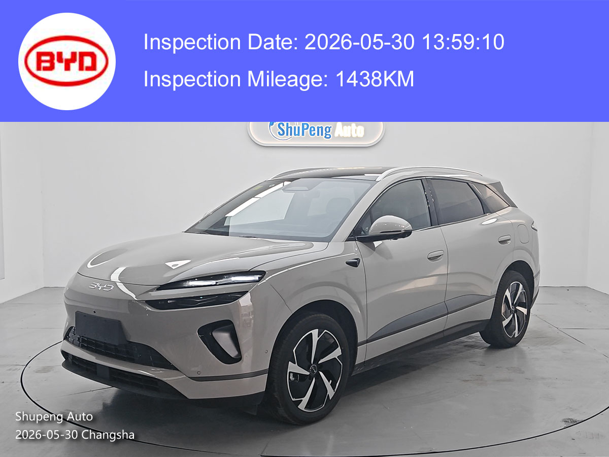 sealion 06 from shupeng auto china used car supplier (2).jpg