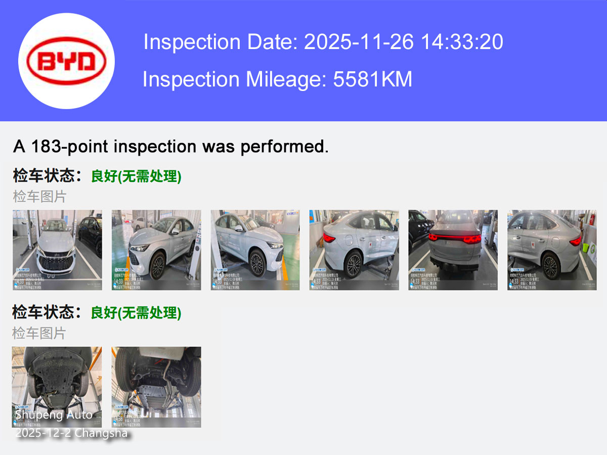 BYD QIN L Shupeng Auto Used Car (1).jpg
