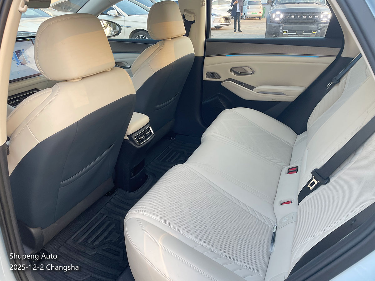 BYD QIN L Shupeng Auto Used Car (7).jpg