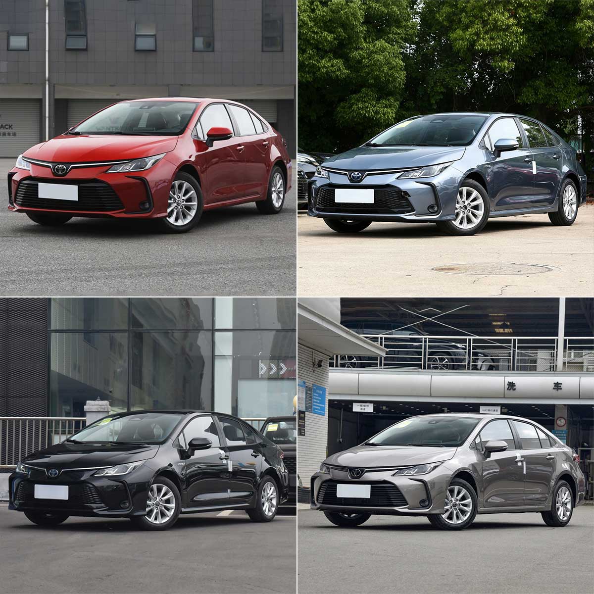 corolla-from-shupeng-auto.jpg