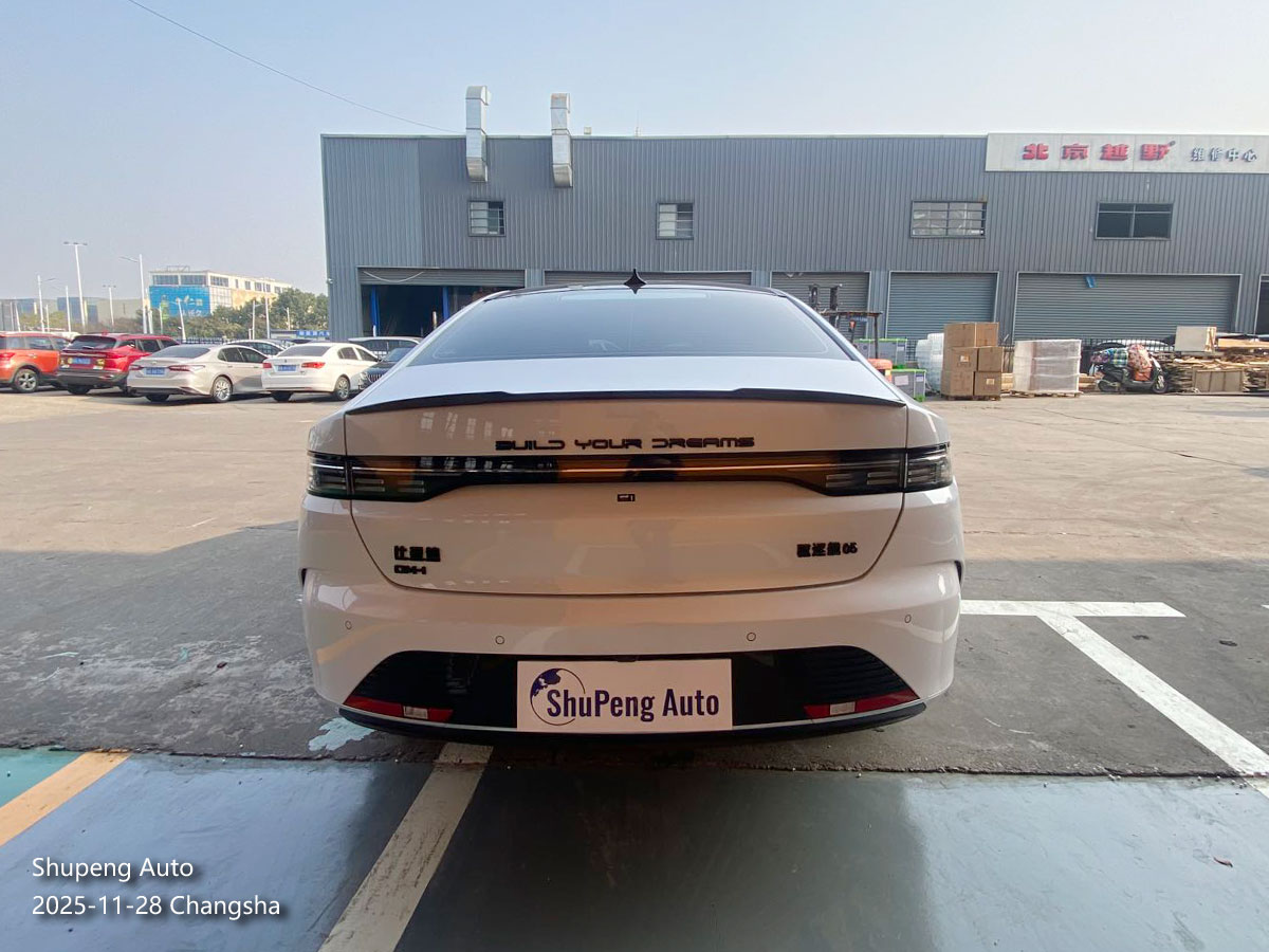 BYD Destroyer 05 - shupeng auto used car (6).jpg