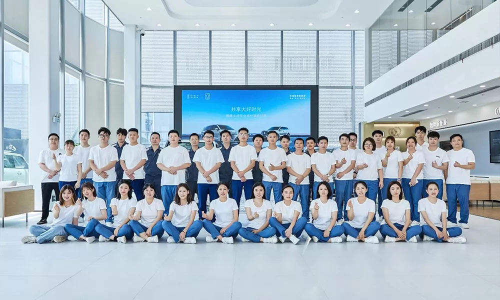Company Team