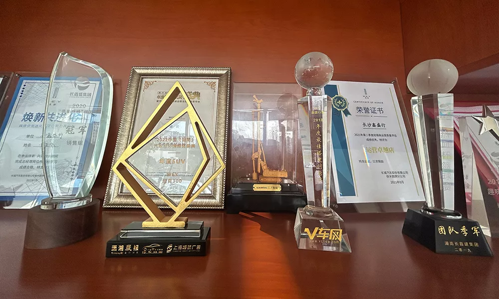 Honor By Various Media